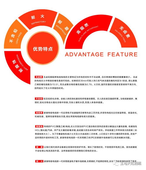 天虹線纜 助力傳統(tǒng)村落煥新顏，守護(hù)黔溪村電氣安全